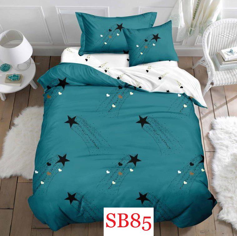 Lenjerie de pat o persoana 4 piese Finet cod-SB85 2