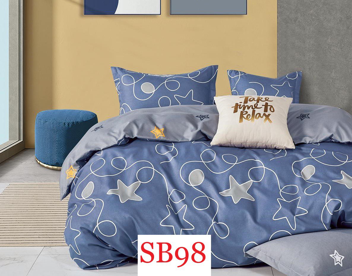 Lenjerie de pat o persoana 4 piese Finet cod-SB98 2